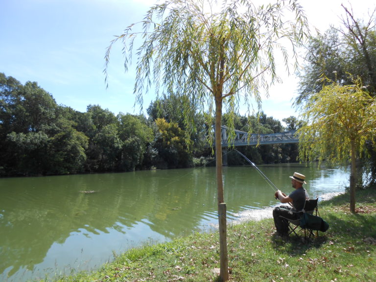 Berges de l'Aude