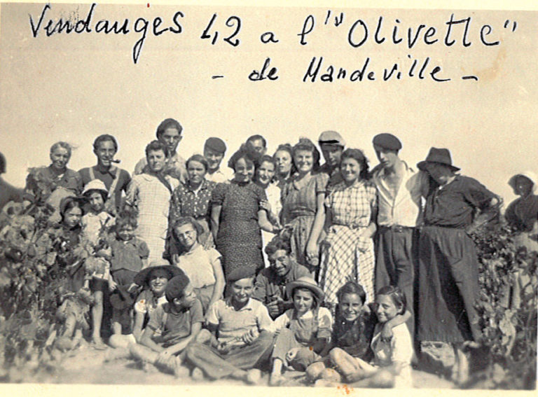 Vendanges 1942