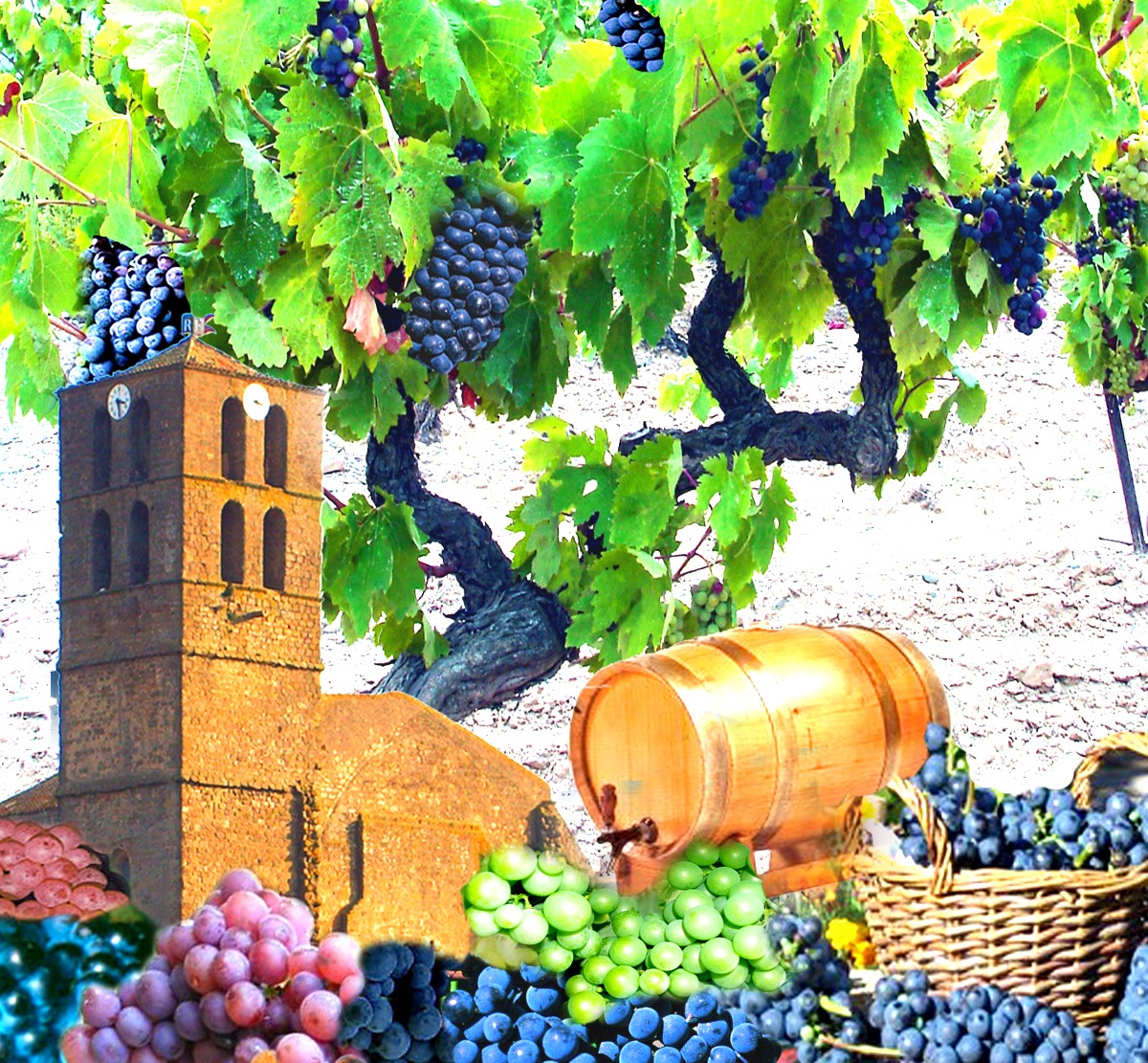 Lire la suite à propos de l’article Fête des vendanges – samedi 30 septembre