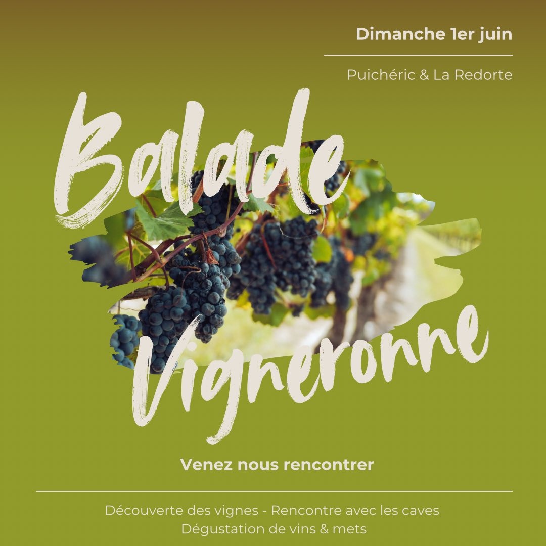 Lire la suite à propos de l’article Balade vigneronne